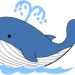 クジラ1頭に２億円分の経済効果⁉野生動物の経済的価値